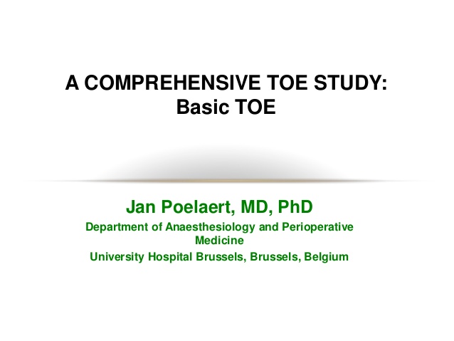 A COMPREHENSIVE TOE STUDY: Basic TOE