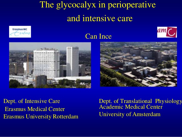 The glycocalyx in perioperative and intensive care