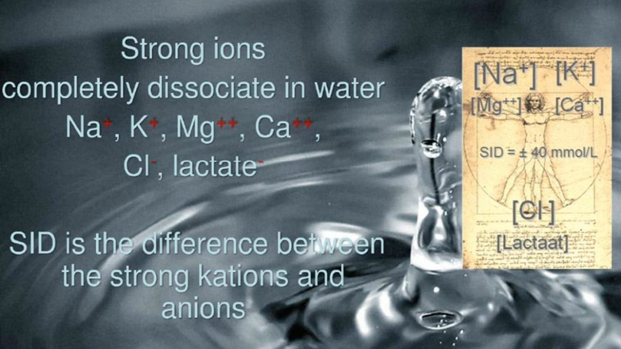 Introduction and basic concepts of fluid therapy - Niels Van Regenmortel - IFAD 2011