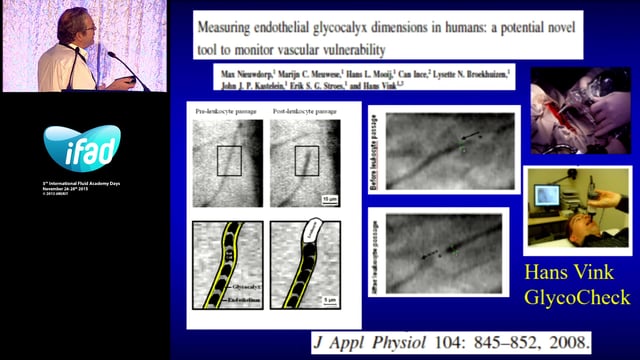 The glycocalyx - new insights