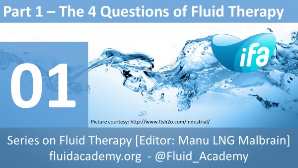 The four questions of fluid therapy (Part 1.2.)