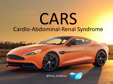 Understanding CARS (#ISICEM18 #IFAD2018)